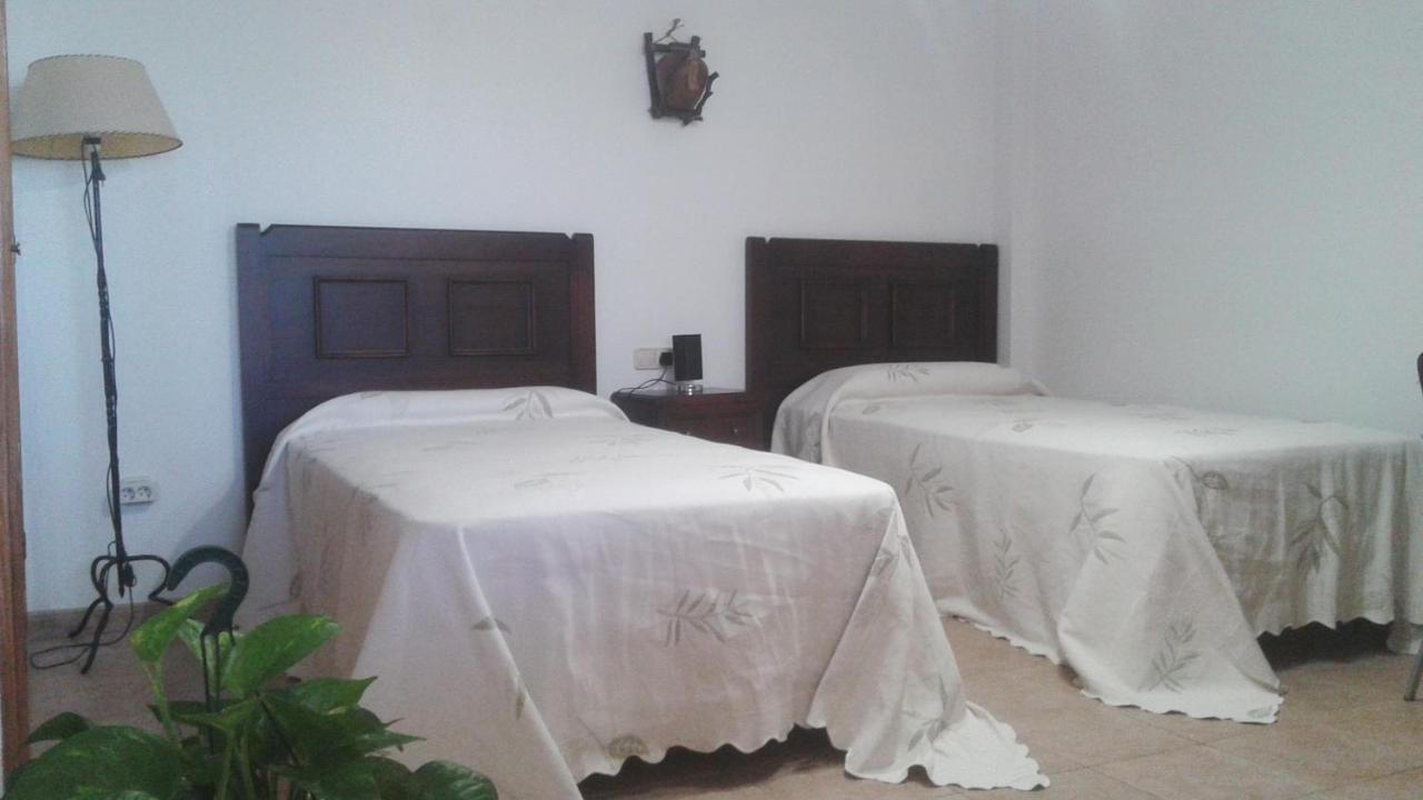 Bnb Casa Frente Al Lago Rosa 또레비에하 외부 사진